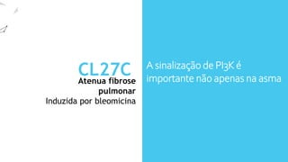 Atenua fibrose
pulmonar
CL27C
Induzida por bleomicina
A sinalização de PI3K é
importante não apenas na asma
Remodelamento das vias áreas e
na fibrose pulmonar
CL27c inalado foram estudados
no modelo in vivo de fibrose
 