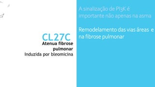 Atenua fibrose
pulmonar
CL27C
Induzida por bleomicina
A sinalização de PI3K é
importante não apenas na asma
Remodelamento das vias áreas e
na fibrose pulmonar
CL27c inalado foram estudados
no modelo in vivo de fibrose
pulmonar induzida por
bleomicina
 