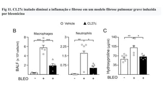 Fig 11. CL27c inalado diminui a inflamação e fibrose em um modelo fibrose pulmonar grave induzida
por bleomicina
 