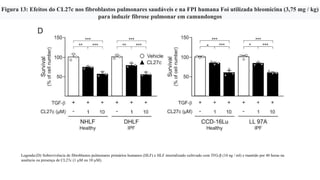 Figura 13: Efeitos do CL27c nos fibroblastos pulmonares saudáveis ​​e na FPI humana Foi utilizada bleomicina (3,75 mg / kg)
para induzir fibrose pulmonar em camundongos
Legenda:(D) Sobrevivência de fibroblastos pulmonares primários humanos (HLF) e HLF imortalizado cultivado com TFG-β (10 ng / ml) e mantido por 48 horas na
ausência ou presença de CL27c (1 µM ou 10 µM).
 