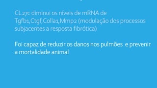 CL27c diminui os níveis de mRNA de
Tgfb1,Ctgf,Colla1,Mmp2 (modulação dos processos
subjacentes a resposta fibrótica)
Foi capaz de reduzir os danos nos pulmões e prevenir
a mortalidade animal
 