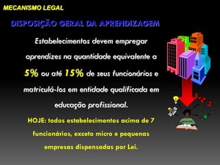 MECANISMO LEGAL

 DISPOSIÇÃO GERAL DA APRENDIZAGEM

        Estabelecimentos devem empregar
     aprendizes na quantidade equivalente a
     5% ou até 15% de seus funcionários e
     matriculá-los em entidade qualificada em
              educação profissional.
      HOJE: todos estabelecimentos acima de 7   aprendiz



       funcionários, exceto micro e pequenas
           empresas dispensadas por Lei.
 