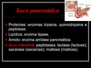 Suco pancreático Proteínas: enzimas tripsina, quimiotripsina e peptidase. Lipídios: enzima lipase. Amido: enzima amilase pancreática. Suco intestinal:  peptidases; lactase (lactose); sacarase (sacarose); maltase (maltose). 