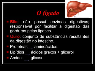O fígado Bile : não possui enzimas digestivas; responsável por facilitar a digestão das gorduras pelas lipases. Quilo : conjunto de substâncias resultantes da digestão no intestino. Proteínas  aminoácidos Lipídios  ácidos graxos + glicerol Amido  glicose 
