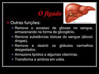 O fígado Outras funções: Remove o excesso de glicose no sangue, armazenando na forma de glicogênio. Remove substâncias tóxicas do sangue (álcool; drogas). Remove e destrói os glóbulos vermelhos desgastados. Armazena lipídios e algumas vitaminas. Transforma a amônia em uréia. 