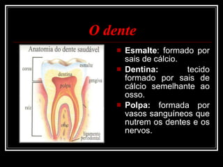 O dente Esmalte : formado por sais de cálcio. Dentina:  tecido formado por sais de cálcio semelhante ao osso. Polpa:  formada por vasos sanguíneos que nutrem os dentes e os nervos. 