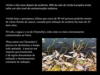 •Vinte e oito anos depois do acidente, 40% do solo da União Européia ainda
sofre um alto nivel de contaminação radiativa.
•Ainda hoje o greenpeace afirma que cerca de 90 mil pessoas poderão morrer
de várias formas de cancer, causado pela radiação do acidente há mais de 20
anos atras
•O solo, a água e o ar de Chernobyl, estão entre os mais extremamente
contaminados na Terra.
•Para entrar em Chernobyl é
preciso ter desímetros o tempo
todo apitando, é preciso um
inspetor governamental,
e há regras draconianas de
radiação e monitoramento
constante de radiação.
 