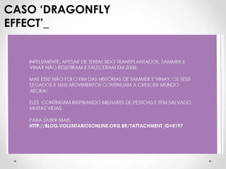 CASO ‘DRAGONFLY
EFFECT’_
 
