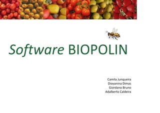 Software BIOPOLIN
Camila Junqueira
Diovanina Dimas
Giordano Bruno
Adalberto Caldeira

 