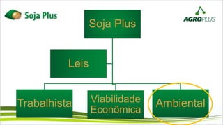 Soja Plus
Trabalhista Viabilidade
Econômica
Ambiental
Leis
 