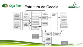 Estrutura da Cadeia
 
