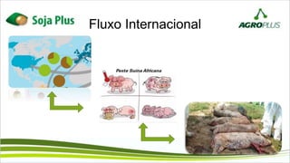 Fluxo Internacional
 