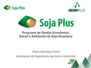 Pedro Henrique Pizzol
Graduando de Engenharia Agrícola e Ambiental
Programa de Gestão Econômica,
Social e Ambiental da Soja Brasileira
 