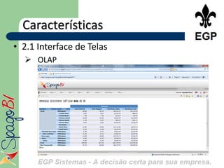 Características
• 2.1 Interface de Telas
   OLAP
 