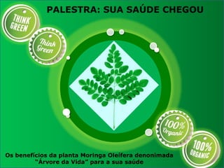PALESTRA: SUA SAÚDE CHEGOU
Os benefícios da planta Moringa Oleífera denonimada
“Árvore da Vida” para a sua saúde
 