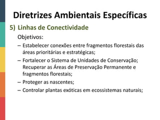 Diretrizes Ambientais Específicas
5) Linhas de Conectividade
Objetivos:
– Estabelecer conexões entre fragmentos florestais das
áreas prioritárias e estratégicas;
– Fortalecer o Sistema de Unidades de Conservação;
Recuperar as Áreas de Preservação Permanente e
fragmentos florestais;
– Proteger as nascentes;
– Controlar plantas exóticas em ecossistemas naturais;
 