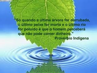 "Só quando a última árvore for derrubada,
o último peixe for morto e o último rio
for poluído é que o homem perceberá
que não pode comer dinheiro."
Provérbio Indígena
 