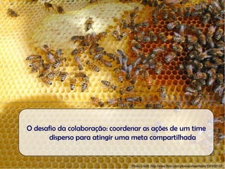 O desafio da colaboração: coordenar as ações de um time
       disperso para atingir uma meta compartilhada


                                Photo Credit: http://www.flickr.com/photos/wheatfields/116810137
 