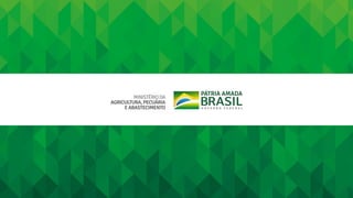 Apresentação _Terra_Brasil_Eventos_CARPIL.pptx
