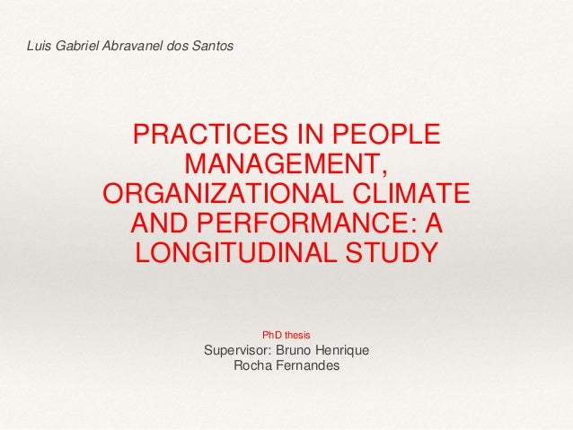 Phd thesis on leadership and organizational performance