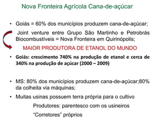 Nova Fronteira Agrícola Cana-de-açúcar
• Goiás = 60% dos municípios produzem cana-de-açúcar;
•

Joint venture entre Grupo São Martinho e Petrobrás
Biocombustíveis = Nova Fronteira em Quirinópolis;
MAIOR PRODUTORA DE ETANOL DO MUNDO

• Goiás: crescimento 740% na produção de etanol e cerca de
340% na produção de açúcar (2000 – 2009)
• MS: 80% dos municípios produzem cana-de-açúcar;80%
da colheita via máquinas;
• Muitas usinas possuem terra própria para o cultivo
Produtores: parentesco com os usineiros

“Corretores” próprios

 