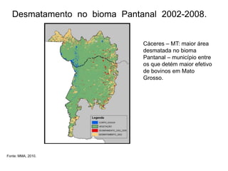 Desmatamento no bioma Pantanal 2002-2008.
Cáceres – MT: maior área
desmatada no bioma
Pantanal – município entre
os que detém maior efetivo
de bovinos em Mato
Grosso.

Fonte: MMA, 2010.

 