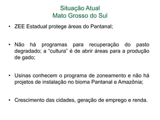 Situação Atual
Mato Grosso do Sul
• ZEE Estadual protege áreas do Pantanal;
• Não há programas para recuperação do pasto
degradado; a “cultura” é de abrir áreas para a produção
de gado;

• Usinas conhecem o programa de zoneamento e não há
projetos de instalação no bioma Pantanal e Amazônia;
• Crescimento das cidades, geração de emprego e renda.

 