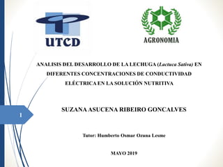 ANALISIS DEL DESARROLLO DE LA LECHUGA (Lactuca Sativa) EN
DIFERENTES CONCENTRACIONES DE CONDUCTIVIDAD
ELÉCTRICA EN LA SOLUCIÓN NUTRITIVA
SUZANAASUCENA RIBEIRO GONCALVES
Tutor: Humberto Osmar Ozuna Lesme
MAYO 2019
1
 