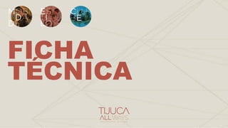 FICHA
TÉCNICA
 
