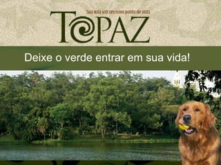 Deixe o verde entrar em sua vida!
 