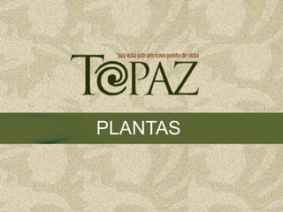 PLANTAS
 