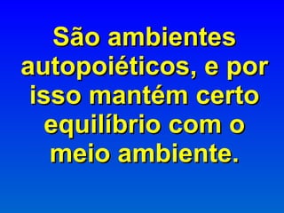 São ambientes autopoiéticos, e por isso mantém certo equilíbrio com o meio ambiente. 