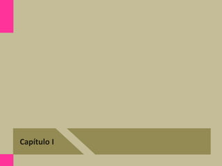 Capítulo I
 
