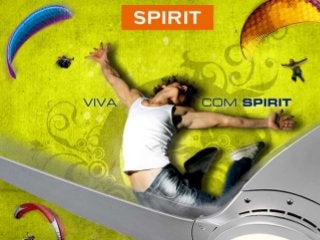 MARKETING WEB 2011
Ações estratégicas para a divulgação da marca e dos produtos
SPIRIT a partir da internet
 