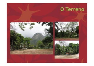 O Terreno
 