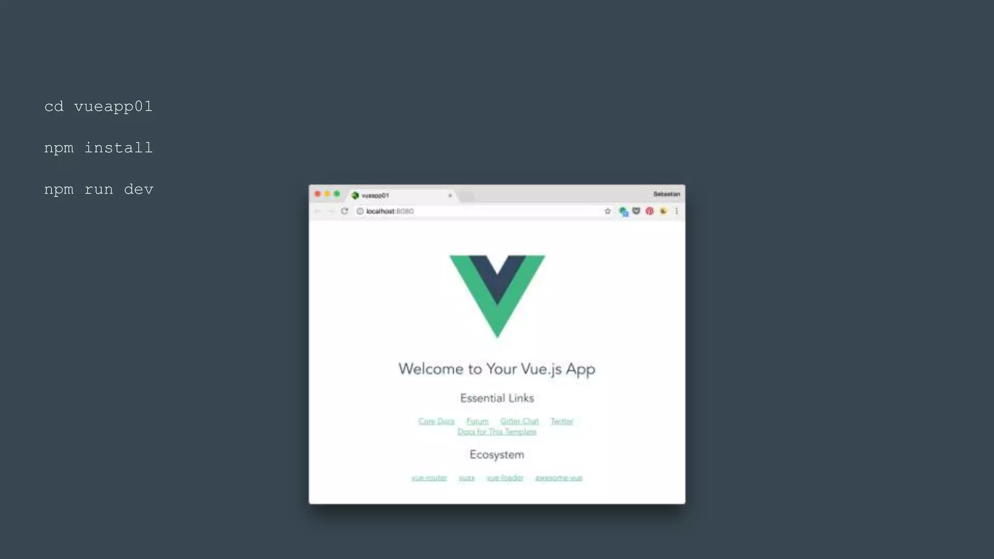 npm install
npm run dev
cd vueapp01
 