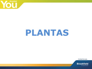 PLANTAS
 