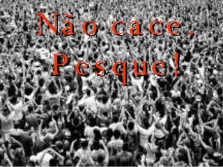 Não cace. Pesque! 