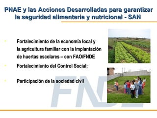 PNAE y las Acciones Desarrolladas para garantizar
  la seguridad alimentaria y nutricional - SAN


•   Fortalecimiento de la economía local y
    la agricultura familiar con la implantación
    de huertas escolares – con FAO/FNDE
•   Fortalecimiento del Control Social;

•   Participación de la sociedad civil
 