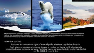Muchos animales como los pingüinos y osos polares sufren por el calentamiento global y pueden perder su hábitat
natural. L...