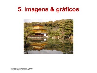 5. Imagens & gráficos




Fotos: Luís Valente, 2009
 