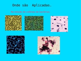 Apresentacoes Juvercino