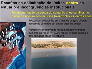 Pesca com aviãozinho em áreas de criação dificulta
acesso ao camarão por outras artes de pesca
Número incontrolável de redes/pescador e grande
números de redes (>15,000 redes) impede acesso a
determinadas áreas do estuário
Desafios na delimitação de limites dentro do
estuário e incongruências institucionais
Regulamentação da pesca do camarão criou conflitos no
direito de acesso aos recursos (aviãozinho vs. outras artes)
 