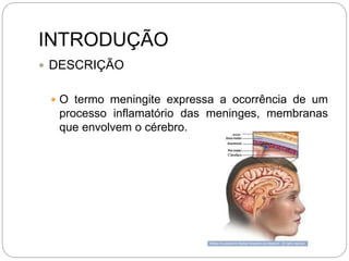INTRODUÇÃO
 DESCRIÇÃO
 O termo meningite expressa a ocorrência de um
processo inflamatório das meninges, membranas
que envolvem o cérebro.
 
