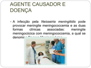 AGENTE CAUSADOR E
DOENÇA
 A infecção pela Neisseiria meningitidis pode
provocar meningite meningococcemia e as duas
formas clínicas associadas: meningite
meningocócica com meningococcemia, a qual se
denomina Doença Meningocócica.
 