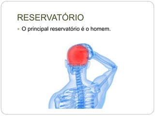 RESERVATÓRIO
 O principal reservatório é o homem.
 