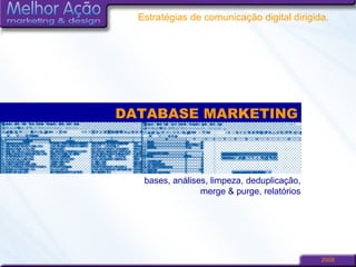 DATABASE MARKETING bases, análises, limpeza, deduplicação, merge & purge, relatórios 