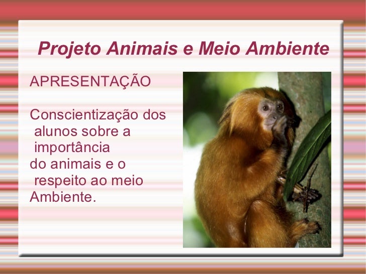 Apresentacao sobre meio ambiente