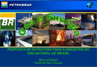 °                              °




PROPOSTA DE ESTRUTURA PARA A INDUSTRIA DO
         GÁS NATURAL NO BRASIL
                   Ildo Luis Sauer
                Diretor de Gás e Energia
 