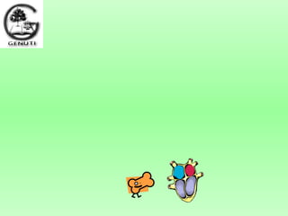 Apresentação GENUTI